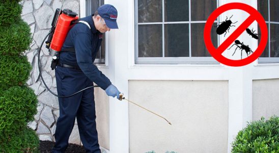 Karaisalı Kene İlaçlama böcek ilaçlama ve haşere kontrolü — ilaclama-tr.com